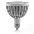 Array LED PAR30 7.8W
